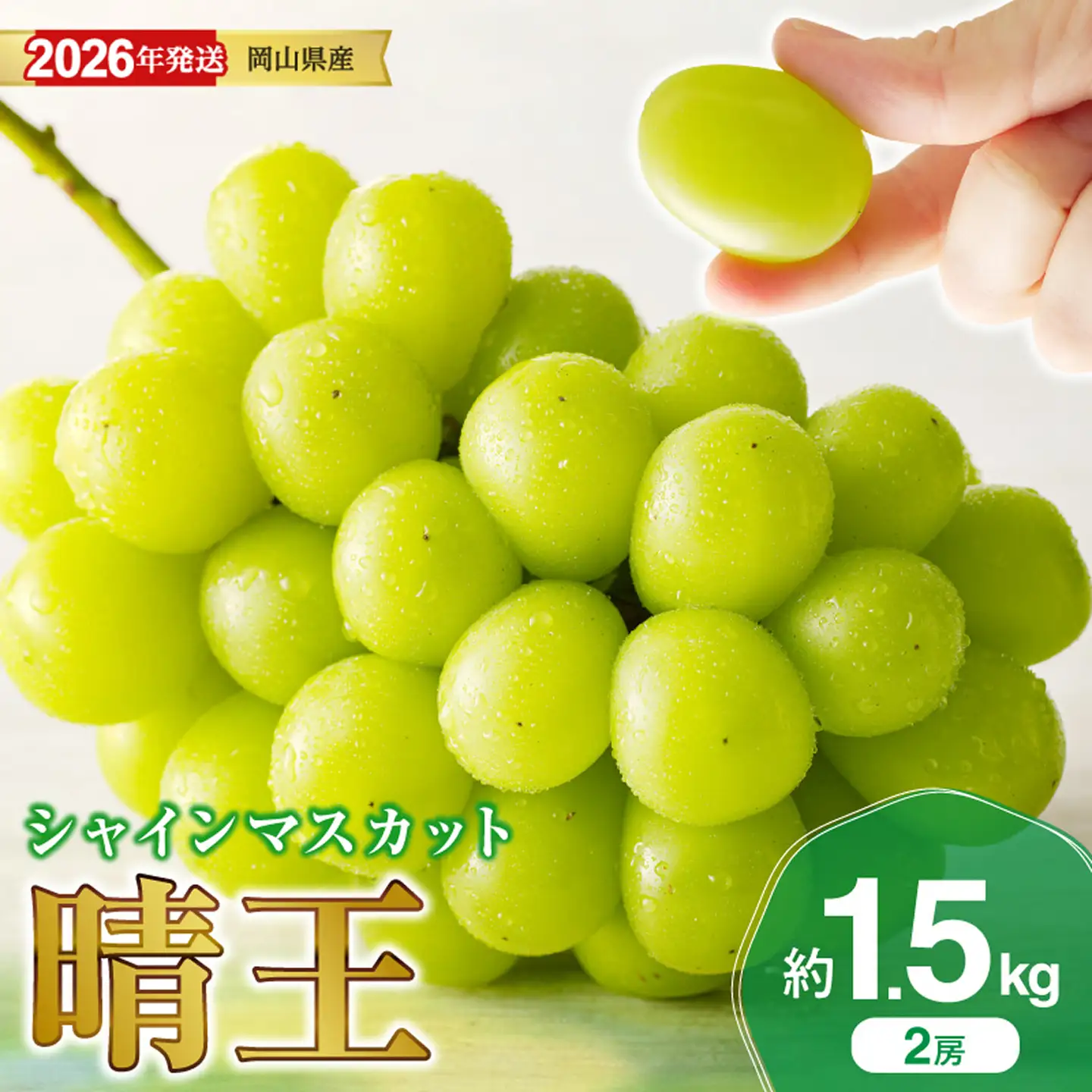 岡山県産 シャインマスカット 晴王 秀品 約1.5kg 2房【シャインマスカット】hz-s