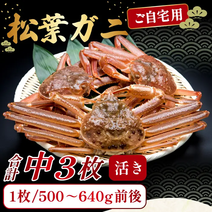 【活き】ご自宅用松葉ガニ　中　3枚【松葉ガニ 松葉がに 松葉蟹 まつばがに かに カニ 冷蔵 チルド ブランド ズワイガニ 活き 自宅用 冬 国産 季節限定 お取り寄せ 鳥取県 日吉津村 日本海】