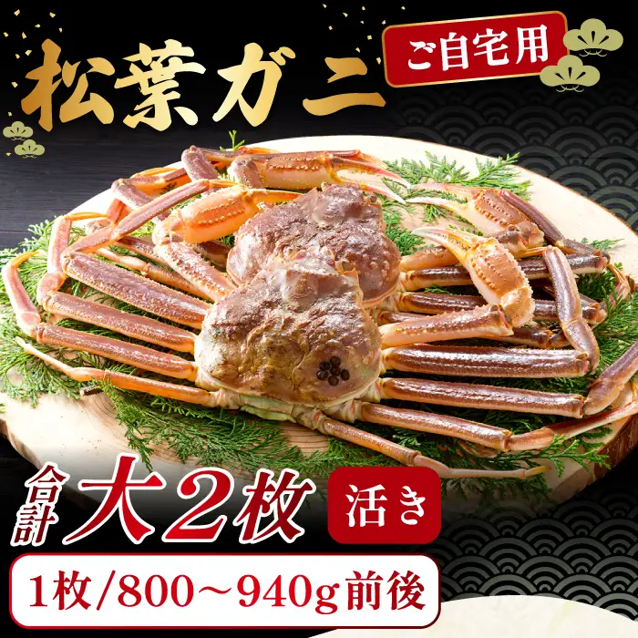 【活き】ご自宅用松葉ガニ　大　２枚【松葉ガニ 松葉がに 松葉蟹 まつばがに かに カニ 冷蔵 チルド ブランド ズワイガニ 活き 自宅用 冬 国産 季節限定 お取り寄せ 鳥取県 日吉津村 日本海】