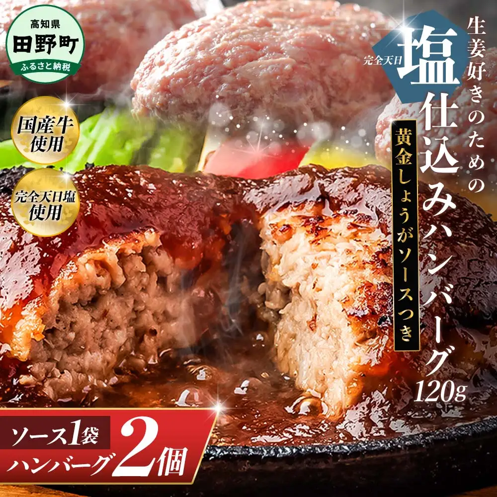 塩仕込みハンバーグ 2個入り 黄金しょうがソース付 1袋 