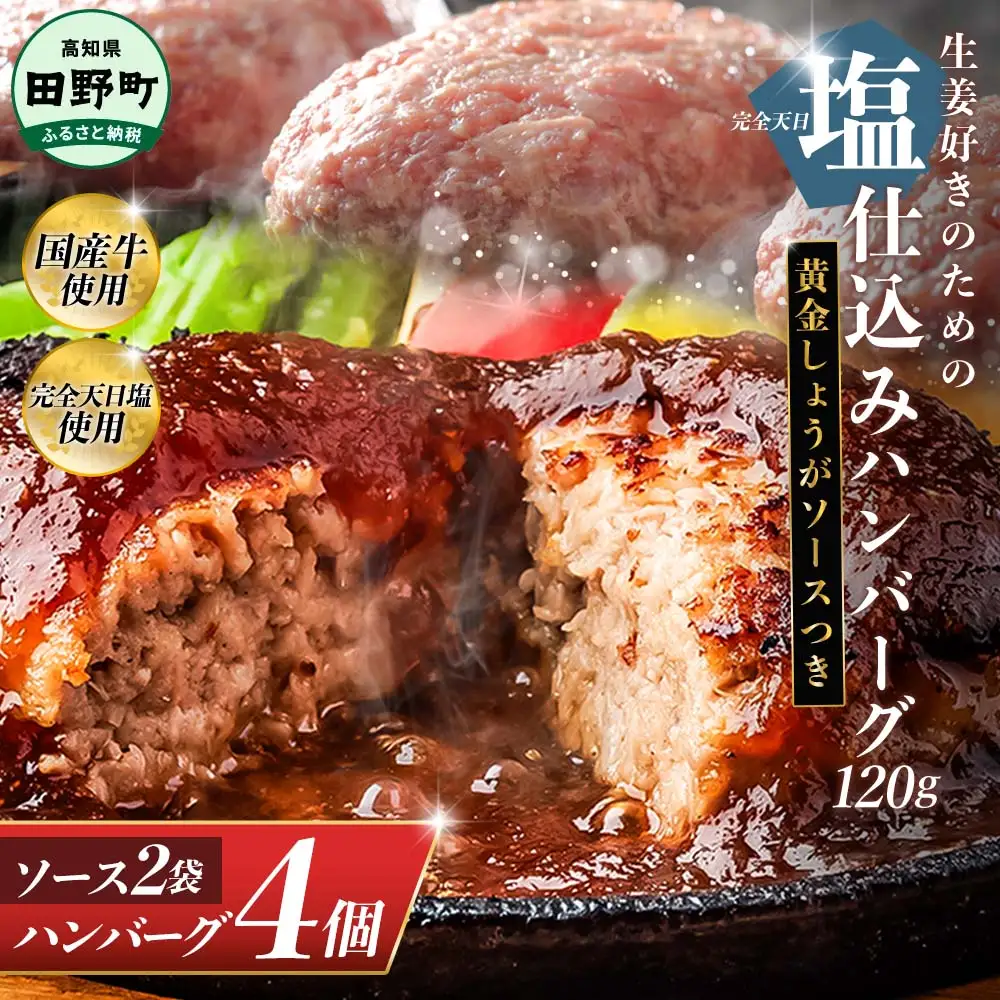 塩仕込みハンバーグ 4個入り 黄金しょうがソース付 2袋 