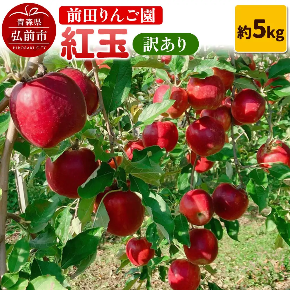 【26年10月発送】りんご【訳あり】紅玉 約5kg 前田りんご園