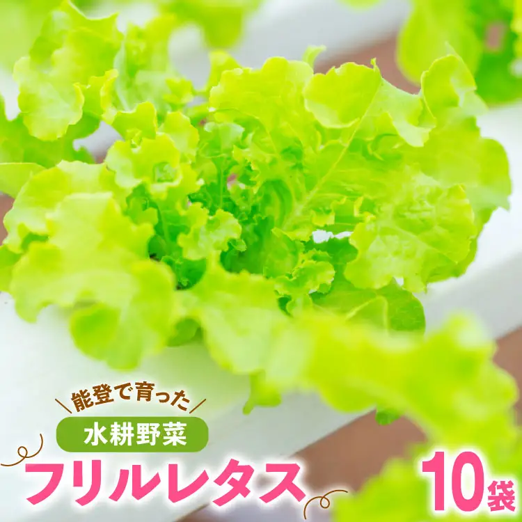 フリルレタス 10袋 セット