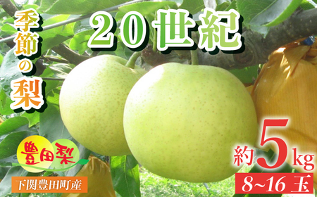 【数量限定】梨 5kg 20世紀 梨 FQ005