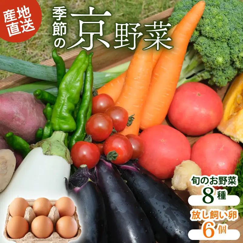 【産地直送】旬のお野菜詰め合わせセット 卵 6個付 野菜