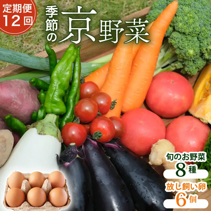 【12回定期便】旬のお野菜詰め合わせセット 卵 6個付 野菜