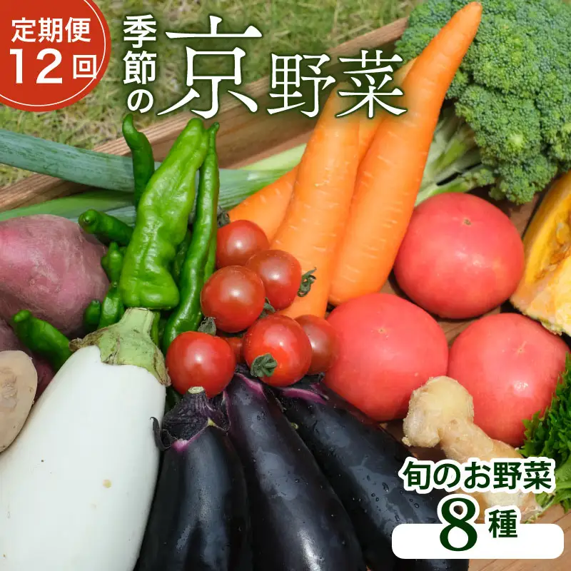 【12回定期便】旬のお野菜詰め合わせセット 定期便 野菜