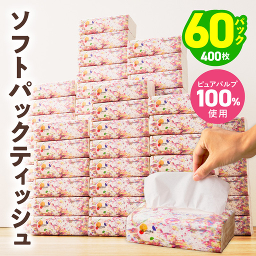 ソフトパックティッシュ 60パック×400枚