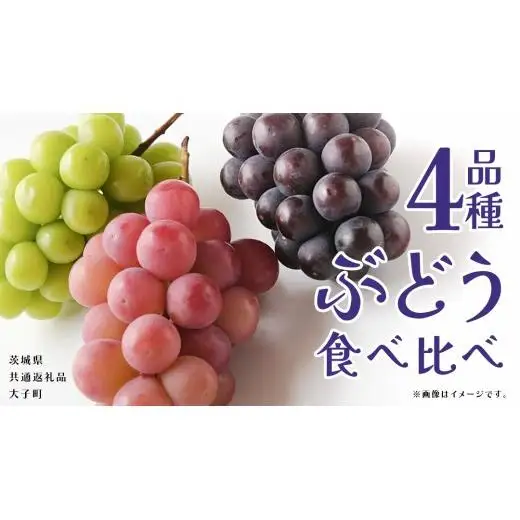 ぶどう ４品種 食べ比べ 【2026年8月上旬発送開始】(茨城県共通返礼品：大子町)