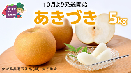 あきづき 梨 5kg （8～12玉）【2026年10月より発送開始】（茨城県共通返礼品 [梨]：大子町産）
