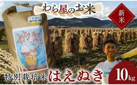 【令和8年産 新米 先行予約】 【わら屋のお米】 特別栽培米 はえぬき 10kg 《令和8年10月下旬～発送》 『おがわ藁農園』 米 白米 精米 ご飯 農家直送 山形県 南陽市 [2068-R8]