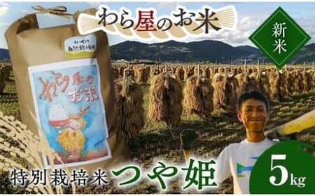 【令和8年産 新米 先行予約】 【わら屋のお米】 特別栽培米 つや姫 5kg 《令和8年10月下旬～発送》 『おがわ藁農園』 米 白米 精米 ご飯 農家直送 山形県 南陽市 [2167-R8]