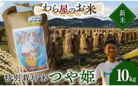 令和8年産 新米 先行予約】 【わら屋のお米】 特別栽培米 つや姫 10kg