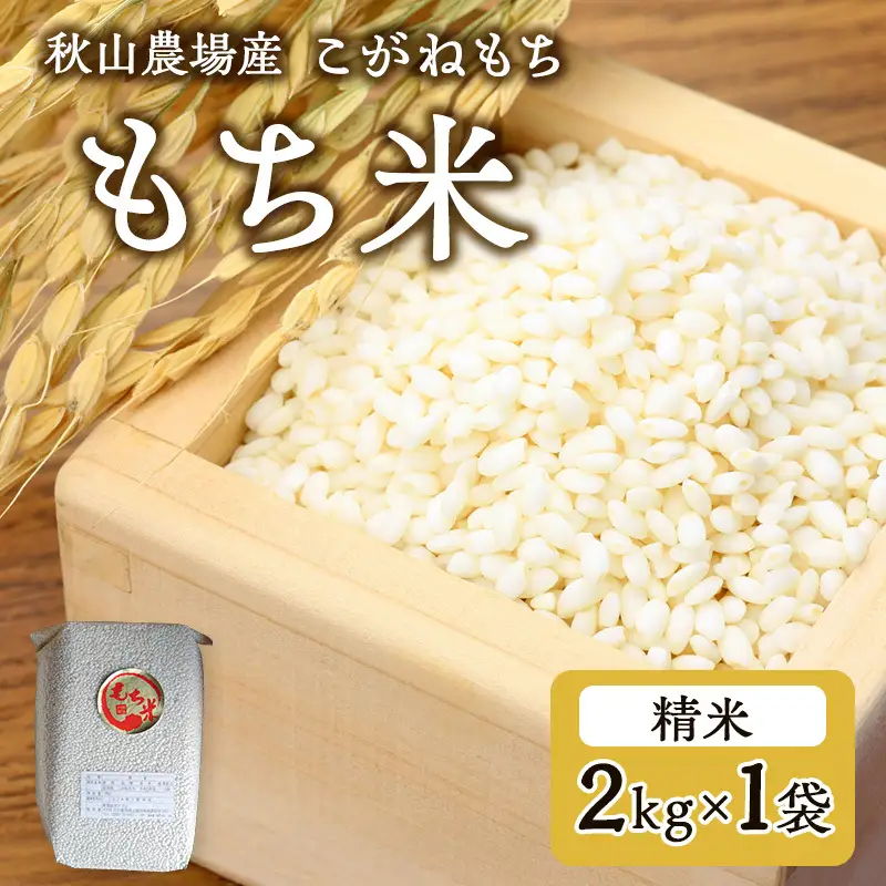【もち米】【真空チャックパック】新潟産こがねもち（もち米）2Kg×1袋 新潟 上越 アフコ