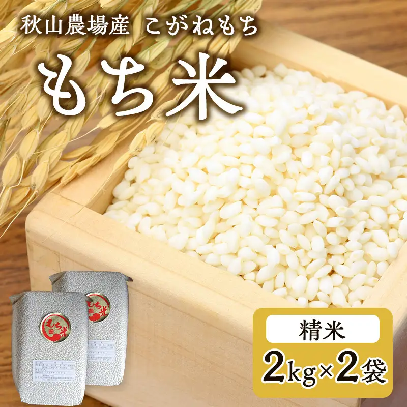 【もち米】【真空チャックパック】新潟産こがねもち（もち米）2Kg×2袋 新潟 上越 アフコ