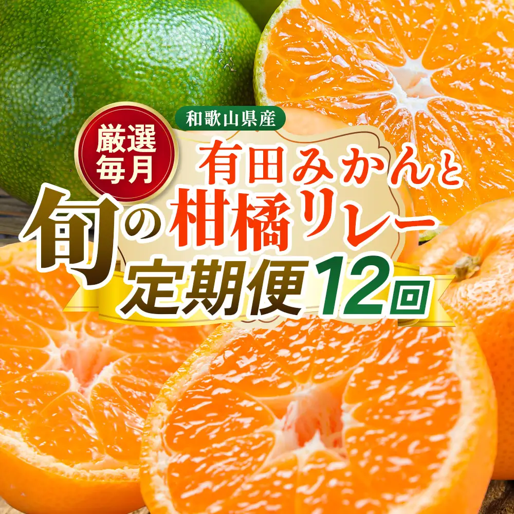 【定期便】厳選 柑橘定期便 S 12回（毎月）※北海道・沖縄・離島への配送不可※毎月発送