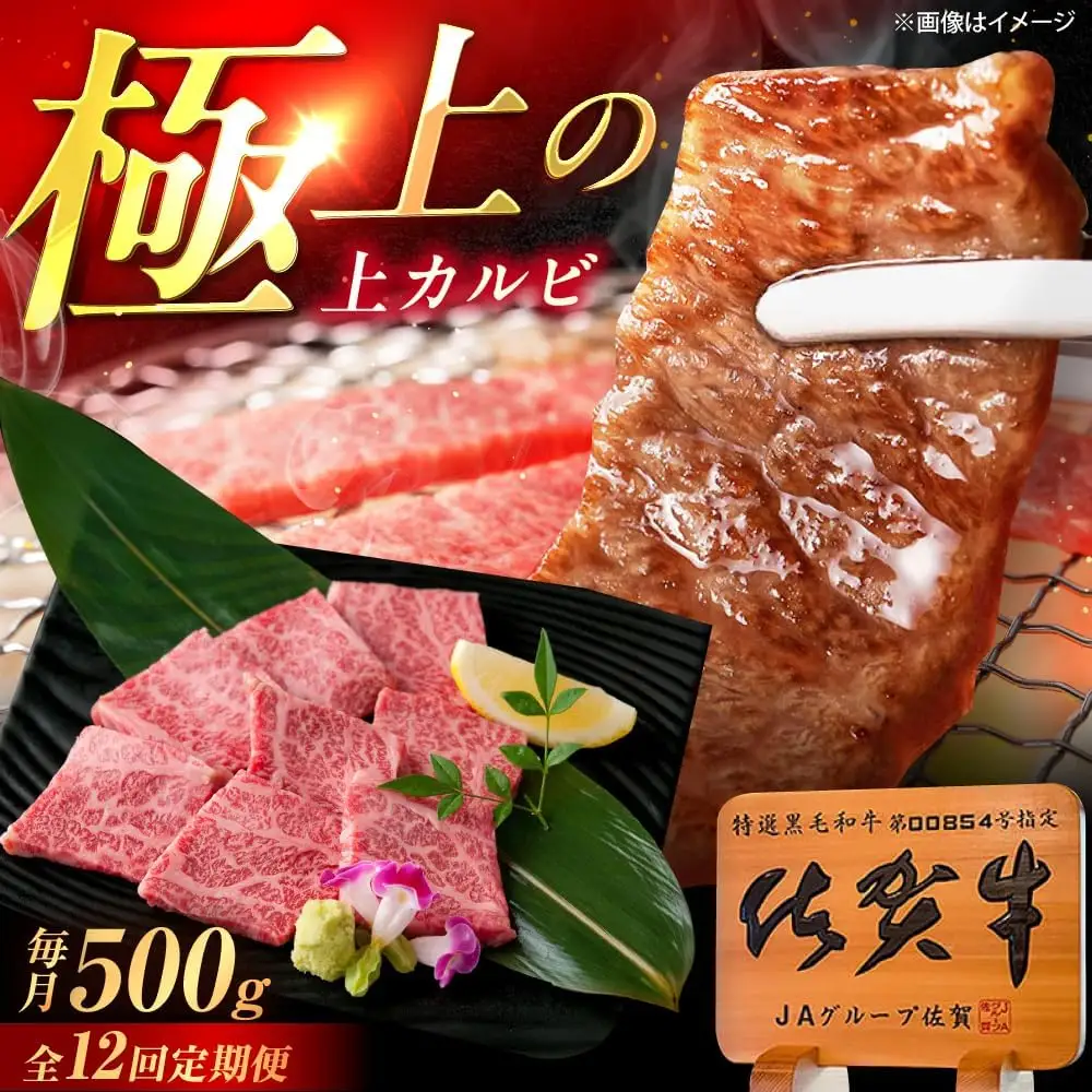 【12回定期便】佐賀牛 上カルビ 焼肉用 500g /MKミート武雄[UEM052] カルビ焼肉