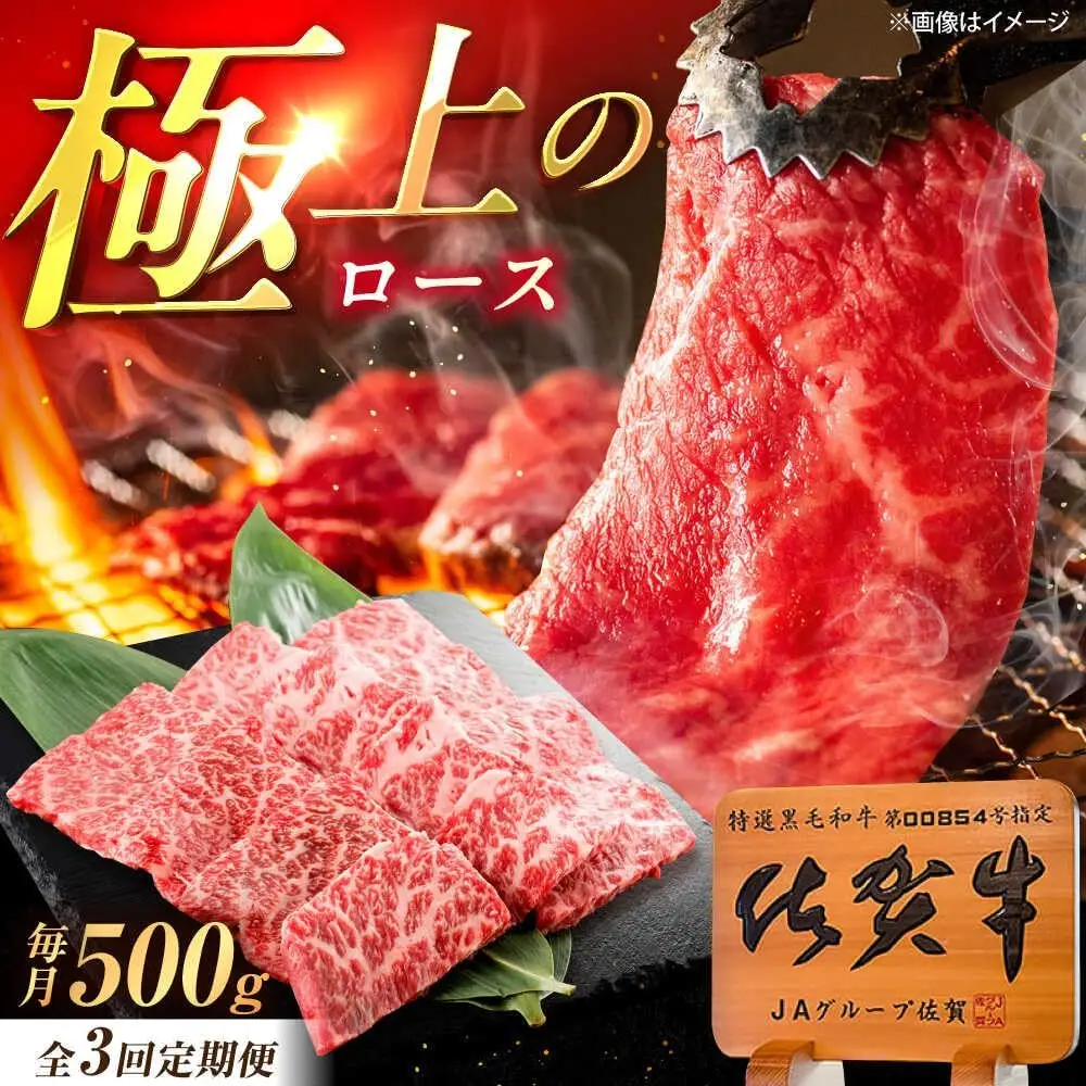 【3回定期便】佐賀牛 ロース 焼肉用 500g /MKミート武雄[UEM055] 焼肉