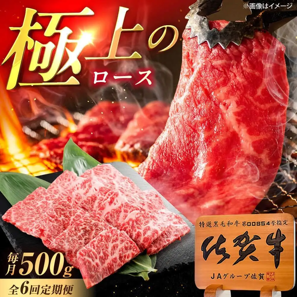 【6回定期便】佐賀牛 ロース 焼肉用 500g /MKミート武雄[UEM056] ロース