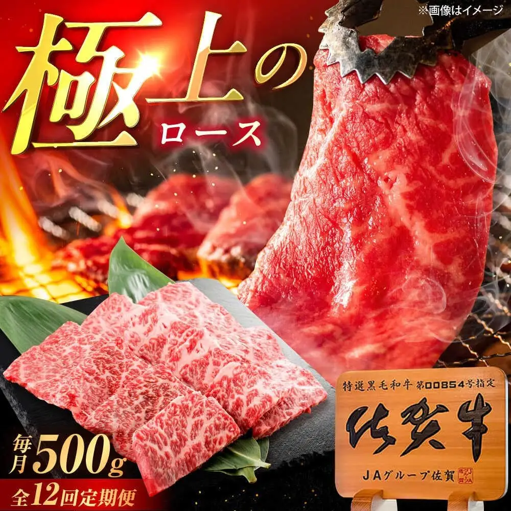 【12回定期便】佐賀牛 ロース 焼肉用 500g /MKミート武雄[UEM057]ロース焼肉