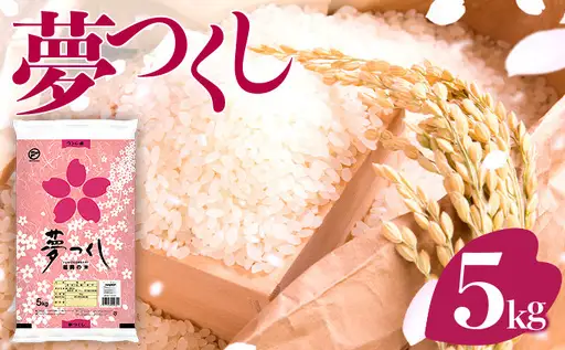 米 令和８年産 福岡県産 夢つくし 5kg  CY019