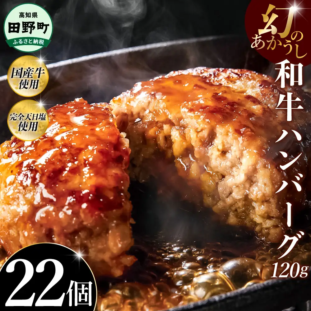 幻のあかうし和牛ハンバーグ 22個入り 1個120g 田野屋青蜂 白鯆 完全天日塩練り込み