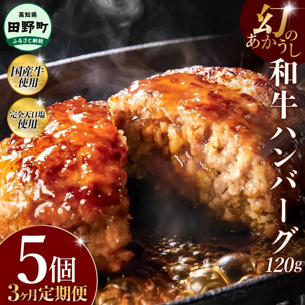 幻のあかうし和牛ハンバーグ 5個入り 3ヶ月定期便 1個120g 田野屋青蜂 白鯆 完全天日塩練り込み