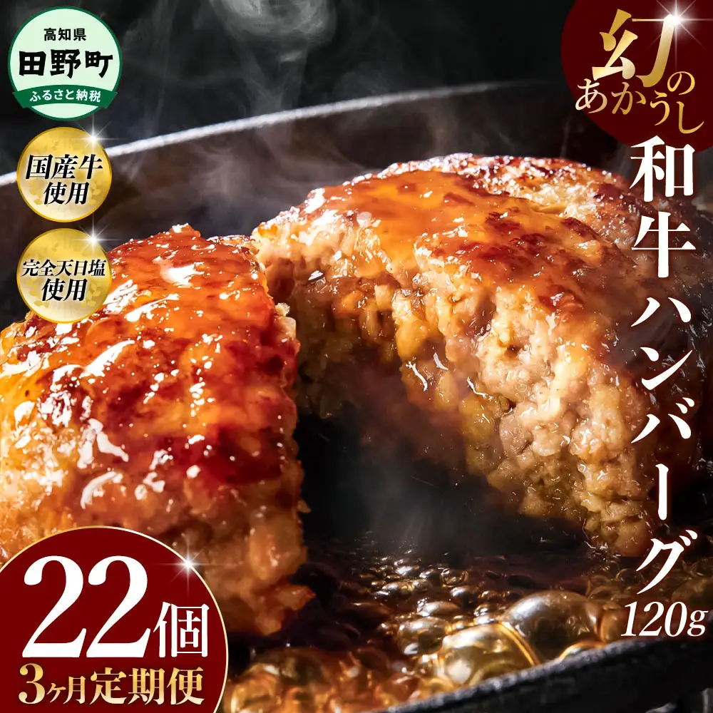 幻のあかうし和牛ハンバーグ 22個入り 3ヶ月定期便 1個120g 田野屋青蜂 白鯆 完全天日塩練り込み