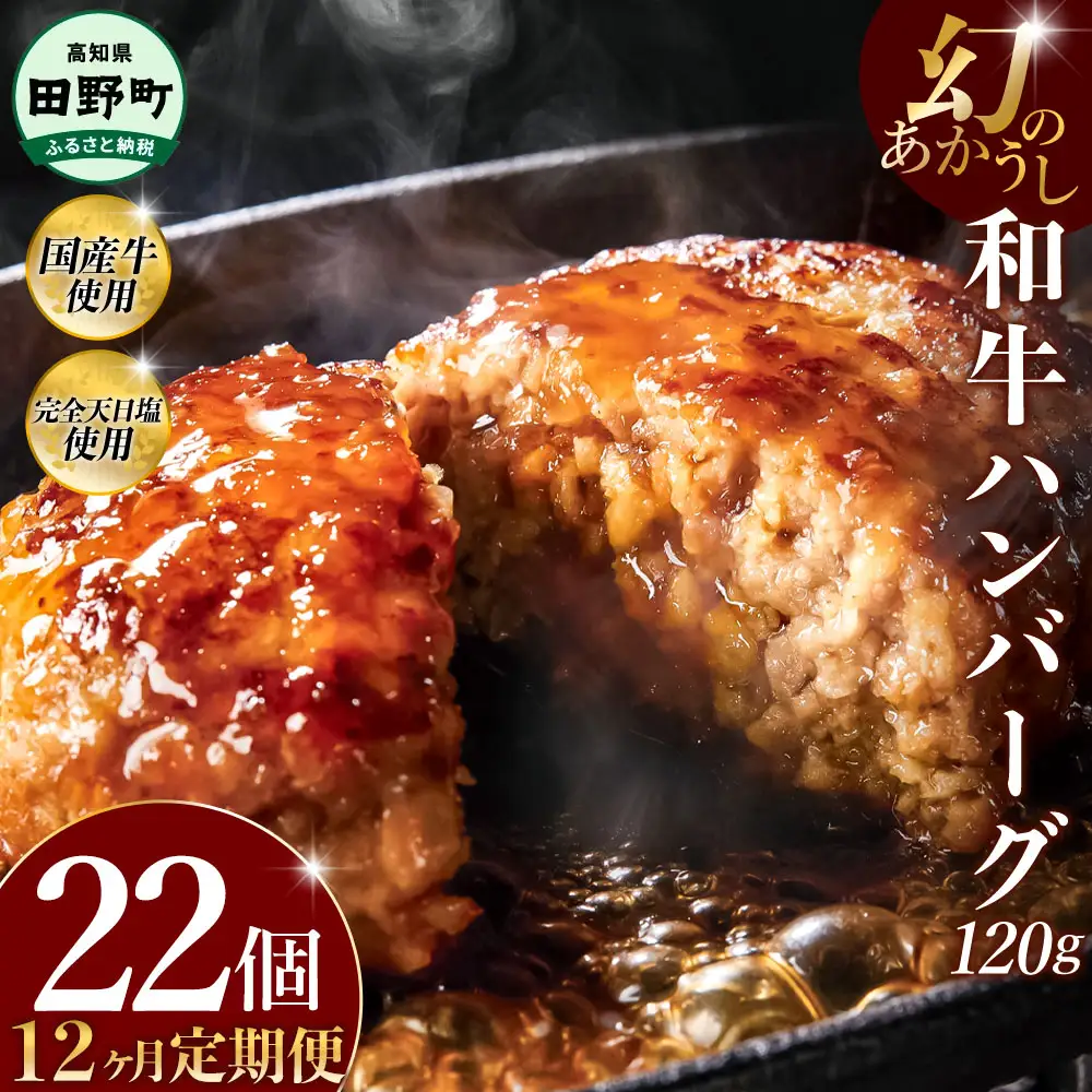 幻のあかうし和牛ハンバーグ 22個入り 12ヶ月定期便 1個120g 田野屋青蜂 白鯆 完全天日塩練り込み