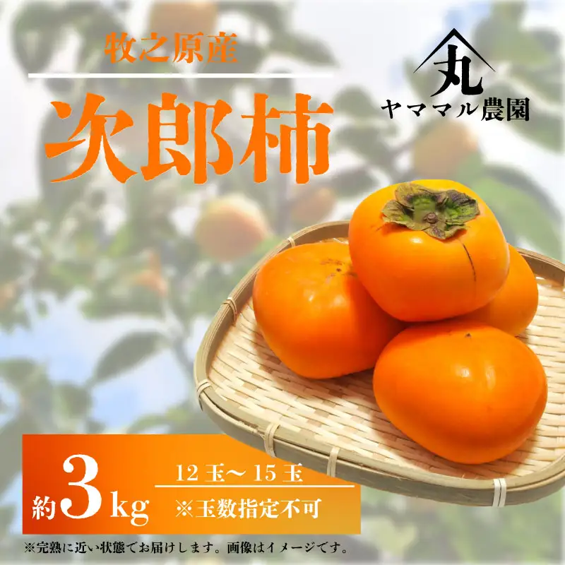 柿 【数量限定】次郎柿 3kg  牧之原市 静岡県
