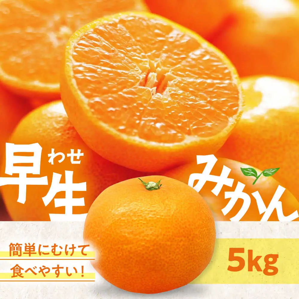 みかん【11月中旬から順次発送】温州みかん（早生）5kg みかん[AGAW016]