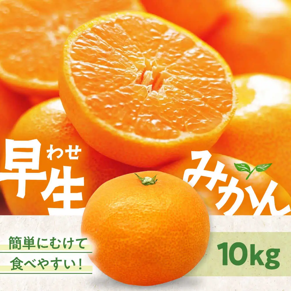 みかん【11月中旬から順次発送】温州みかん（早生）10kg みかん[AGAW017]