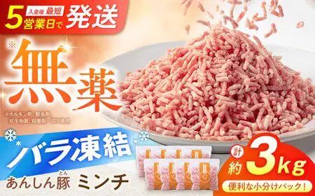 豚ミンチ 約3kg《バラ凍結》藤井ファーム[AWAF034]豚ひき肉