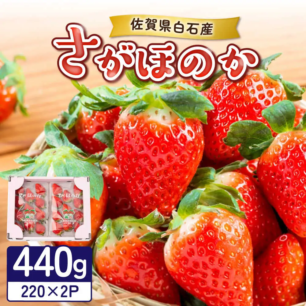 【2027年1月以降順次発送】白石産いちご「さがほのか」 220g×2パック / 佐賀県 いちご / 岸川農園 [41ASAG010]