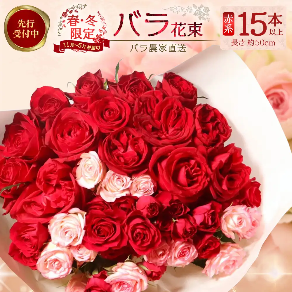 ※先行予約※【日付指定必須・ギフト対応可】ばら農家直送！人気の春・冬薔薇をお届け♪ バラ花束15本以上(赤系) TB-9│ローズ 新鮮 花 フラワー 花束 ばら 薔薇 バラ 誕生日 記念日 結婚祝い ギフト プレゼント お祝い 贈り物 贈答 鹿児島県 南大隅町 富田バラ園