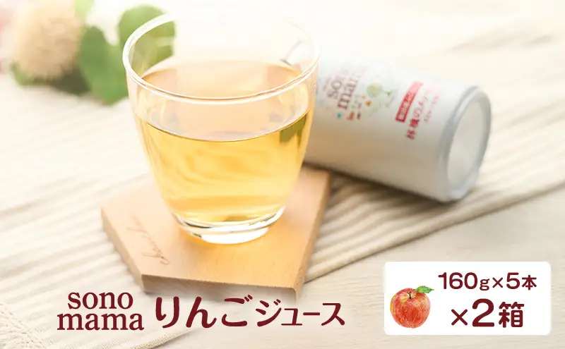 りんごジュースsonomamaりんご飲料りんごジュース【160g×5本×2箱】