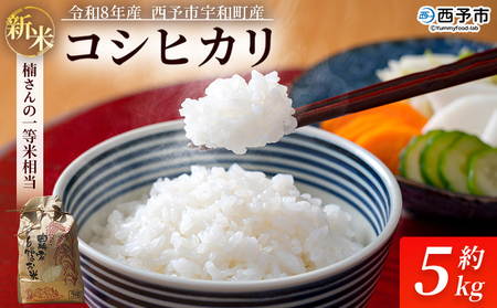 【追加受付開始】新米 ＜令和8年産 コシヒカリ 約5kg 西予市宇和町産＞ 通常 白米 精米 楠さんの一等米相当 お米 ご飯 愛媛県 西予市【常温】『2026年9月上旬から順次出荷予定』 UKK0003