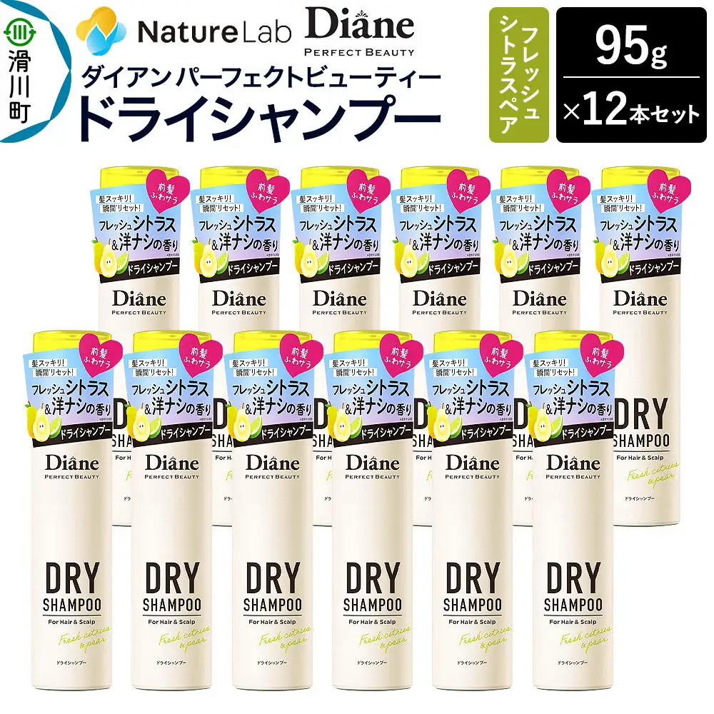 Diane ダイアン パーフェクトビューティー ドライシャンプー 95g フレッシュシトラスペア×12点セット