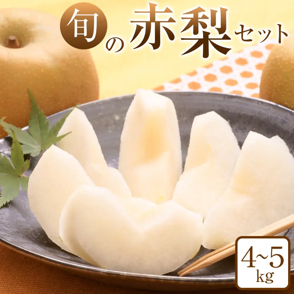 旬の赤 梨 セット 4～5kg前後 ※2026年8月下旬～12月下旬頃に順次発送予定  梨