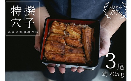 穴子 焼き穴子 3尾入 225g 蒲焼き 小分け