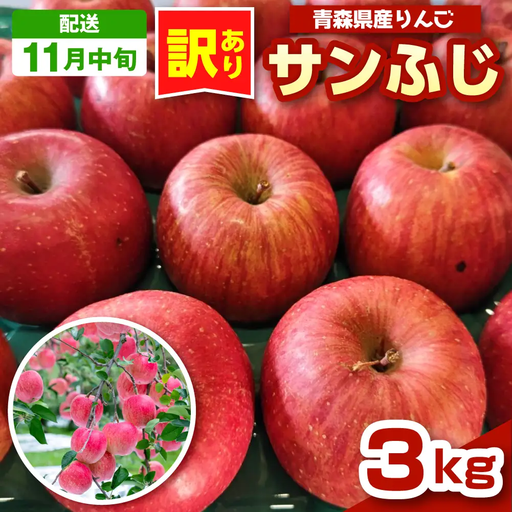 【2026年11月中旬発送】 青森りんご 約3kg サンふじ 《訳あり》 りんご