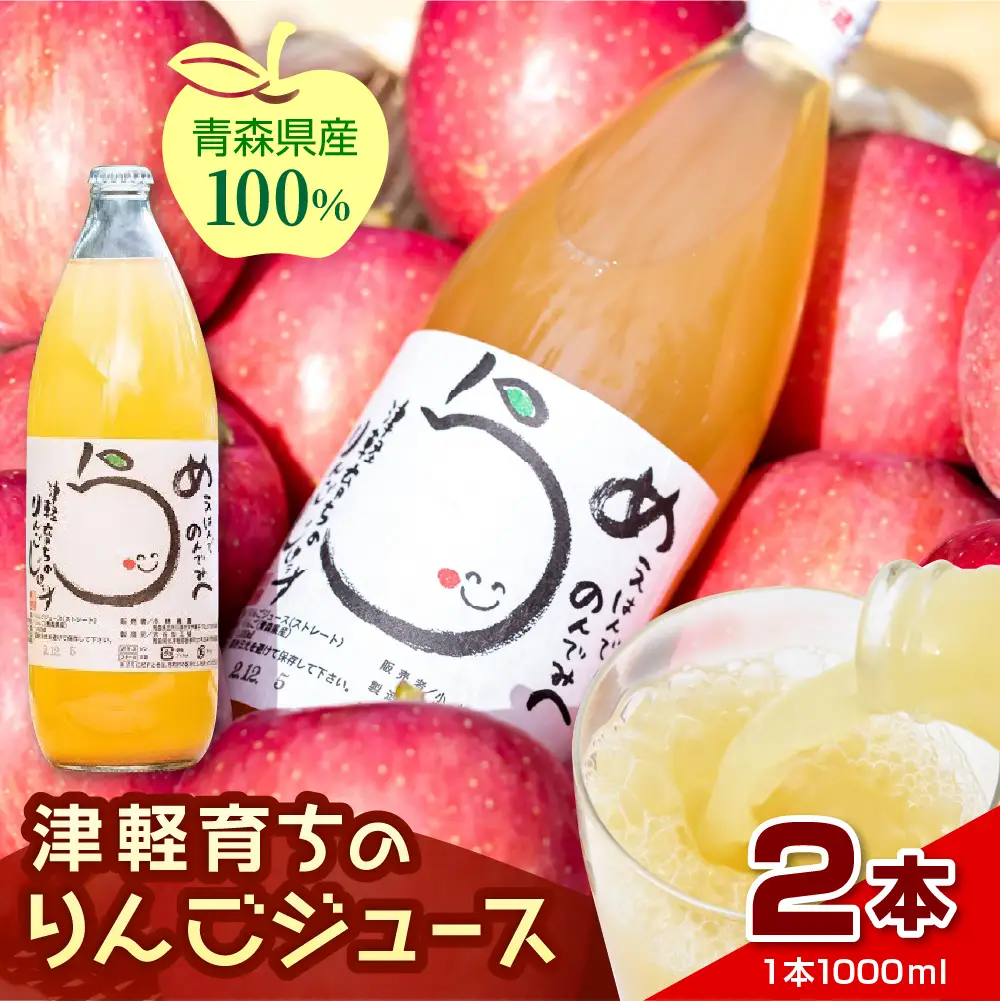 りんごジュース １L×2本【11月より順次発送】100％ストレート果汁 小林りんご農園