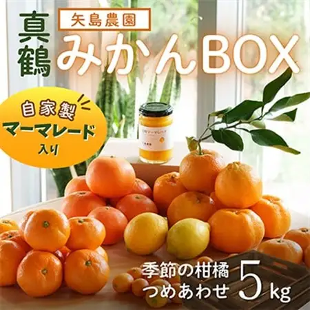 マーマレード入り季節の柑橘詰め合わせ5kgいろんな種類が一箱に詰まった楽しいみかんBox【先行受付】【1657124】