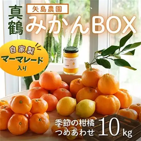 マーマレード入り季節の柑橘詰め合せ10kgいろんな種類が一箱に詰まった楽しいみかんBox【先行受付】【1657125】