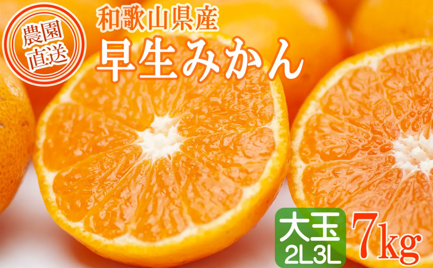 訳あり 早生みかん ２L・３Lおまかせ 7kg 和歌山みかん