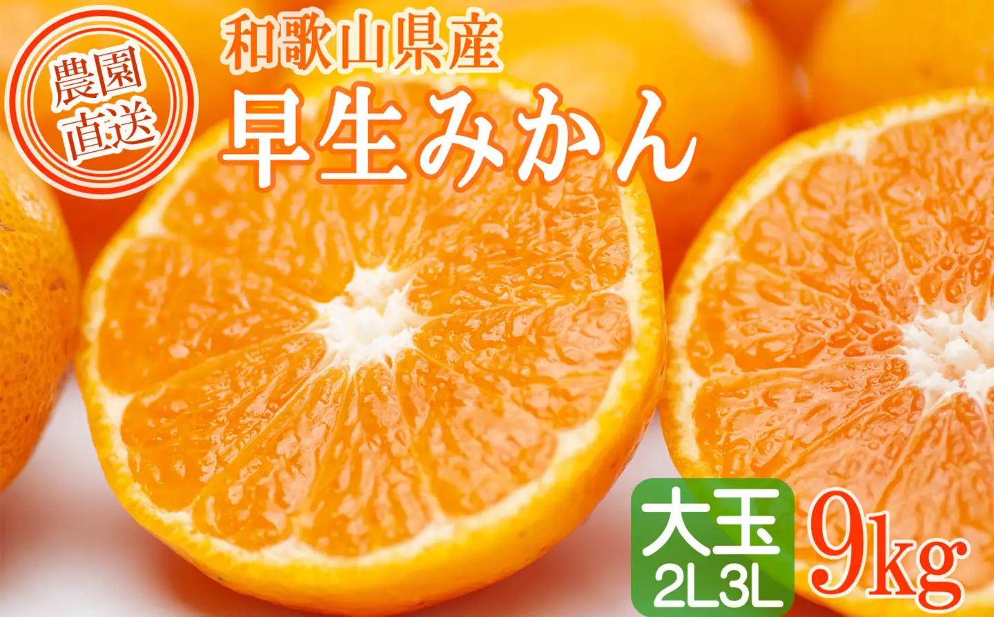 訳あり 早生みかん ２L・３Lおまかせ 9kg 和歌山みかん