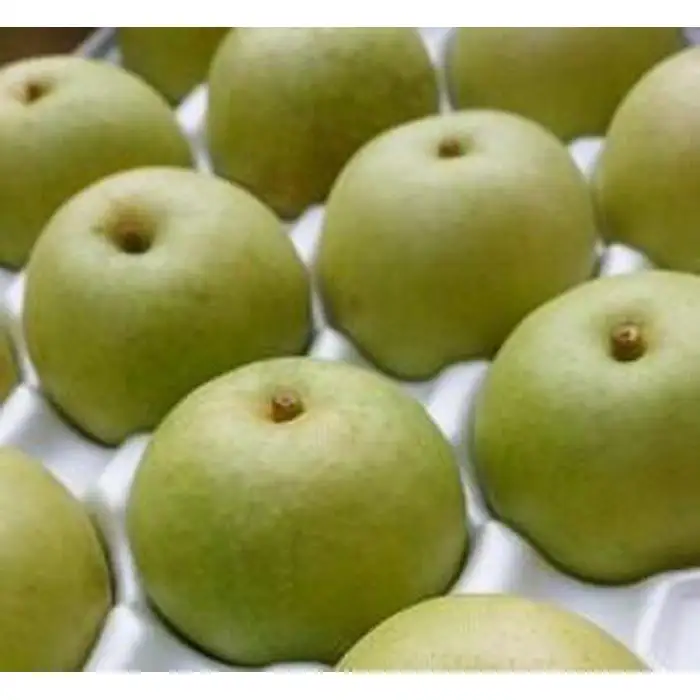 二十世紀梨 2.5kg【たにがみ農園】