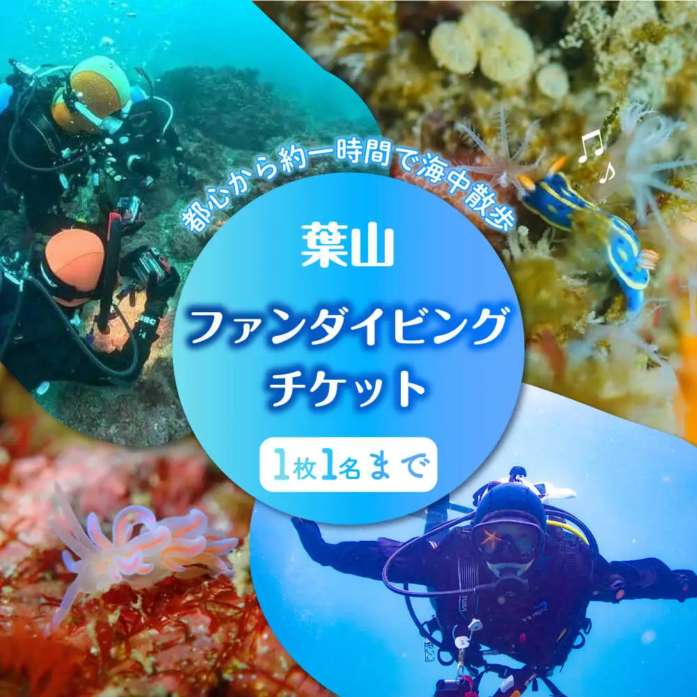 ダイビング ビーチエントリー2ダイブ ／ダイビング 葉山 [ASAM001]