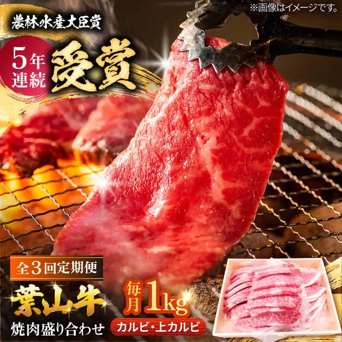 【全3回定期便】 葉山牛 上カルビ500gカルビ500g／ カルビ 上カルビ[ASAP053]