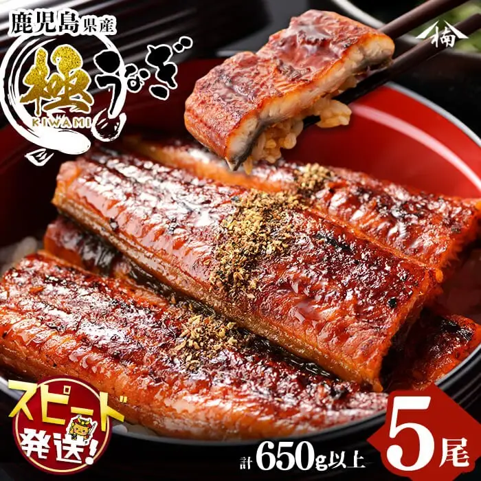 ＜入金確認後、2週間以内に発送！＞楠田の極うなぎ 蒲焼き130g以上×5尾(650g以上) うなぎ 鰻 ウナギ 国産 鹿児島県産 九州産 蒲焼き 冷凍 うな重 ひつまぶし c0-092-2w